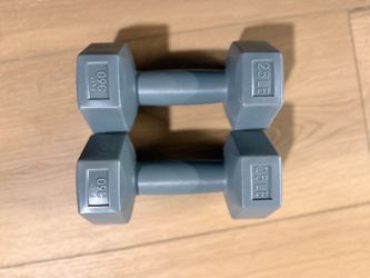 2.5lb weights grey