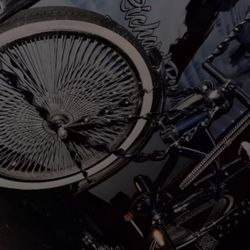 20 Inch Schwinn Collection Lowrider Bike 