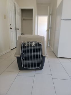 Dog Kennel