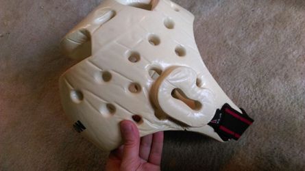 MMA, tae kwon do, kickboxing, boxing headgear