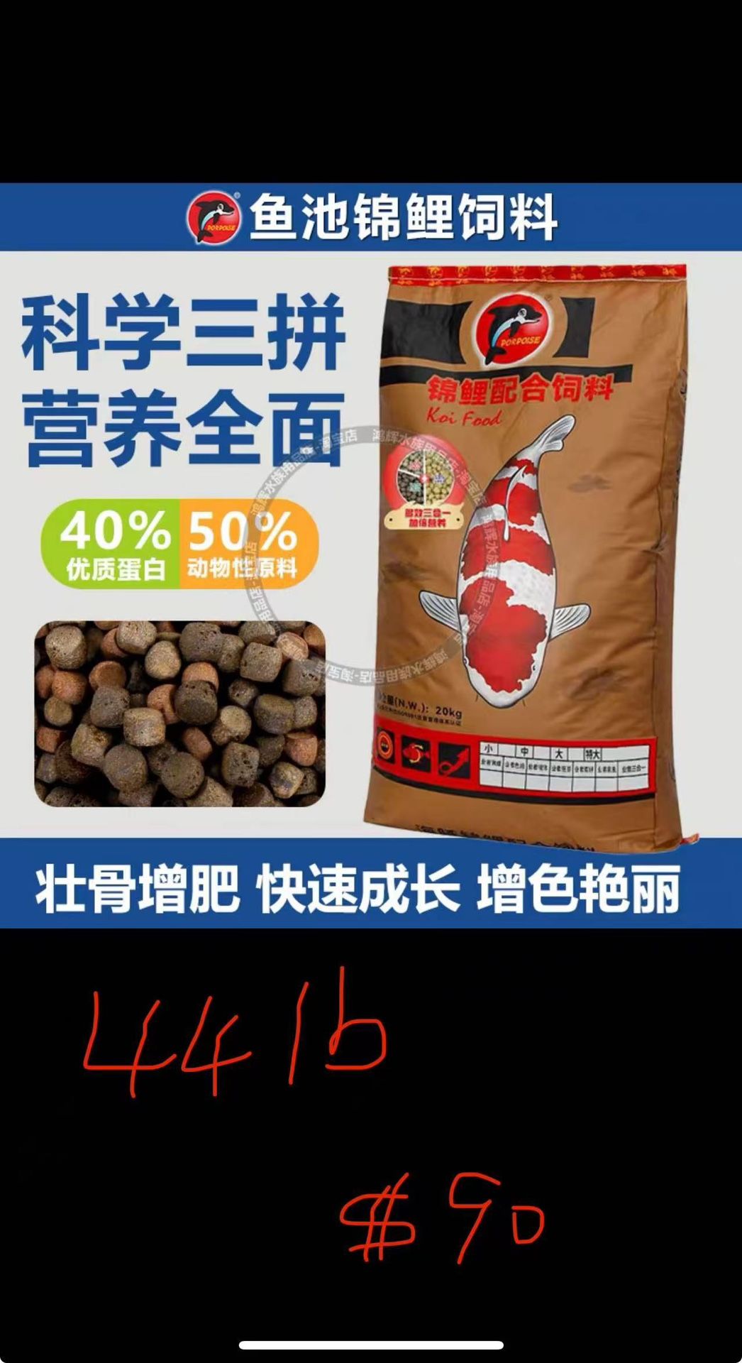 fish feed