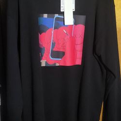 Uniqlo UT Kaws x Andy Warhol Sweatshirt