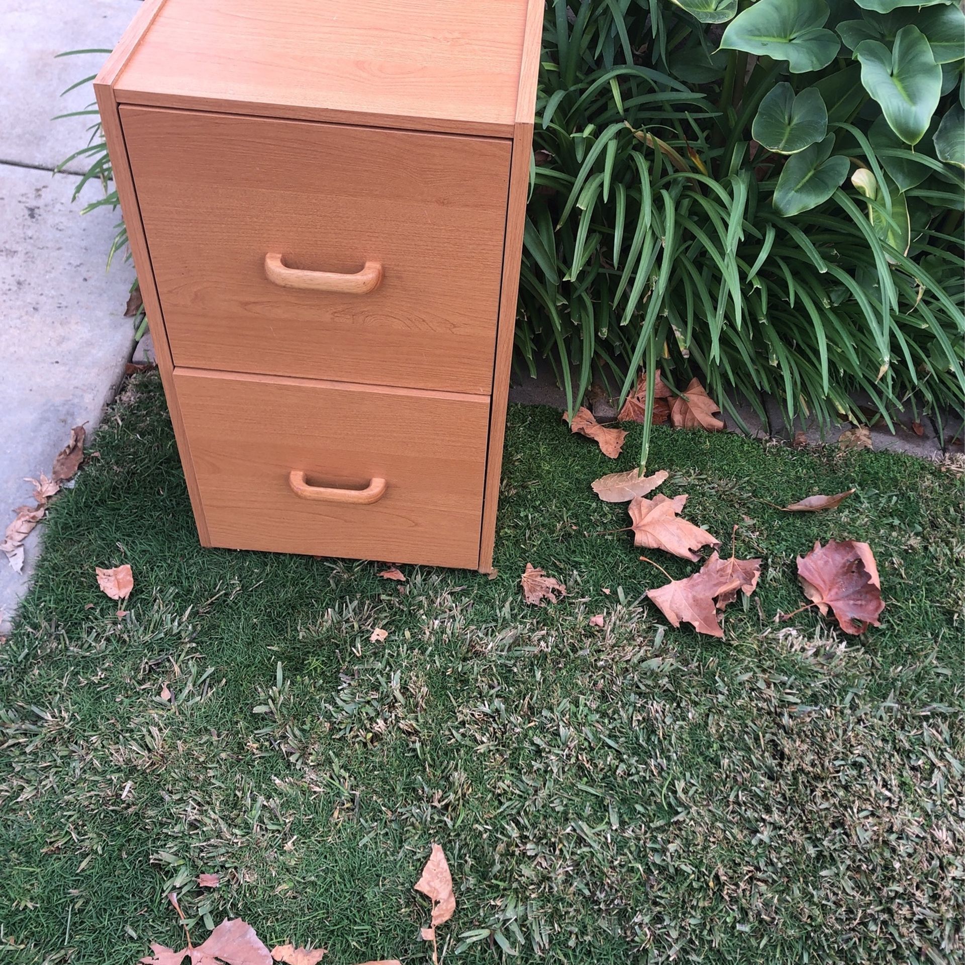 2 Drawer Filing Cabinet