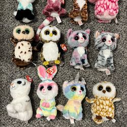 Beanie Boo Bundle