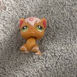 Littlest Pet Shop Long hair cat #511