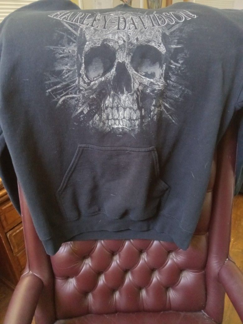 Harley-Davidson Aurora Colorado Vintage Pullover Hoodie Medium