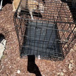 Small Dog Crate Used 