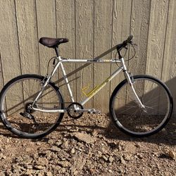 90’s Schwinn Impact Pro MOS mountain bike