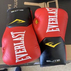 Everlast Boxing Gloves