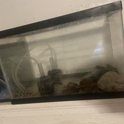 5 Gallon Fish Tank Starter Kit 