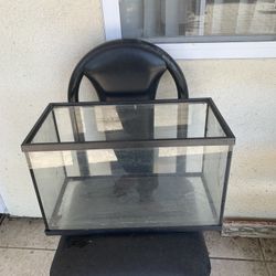 Fish Tank
