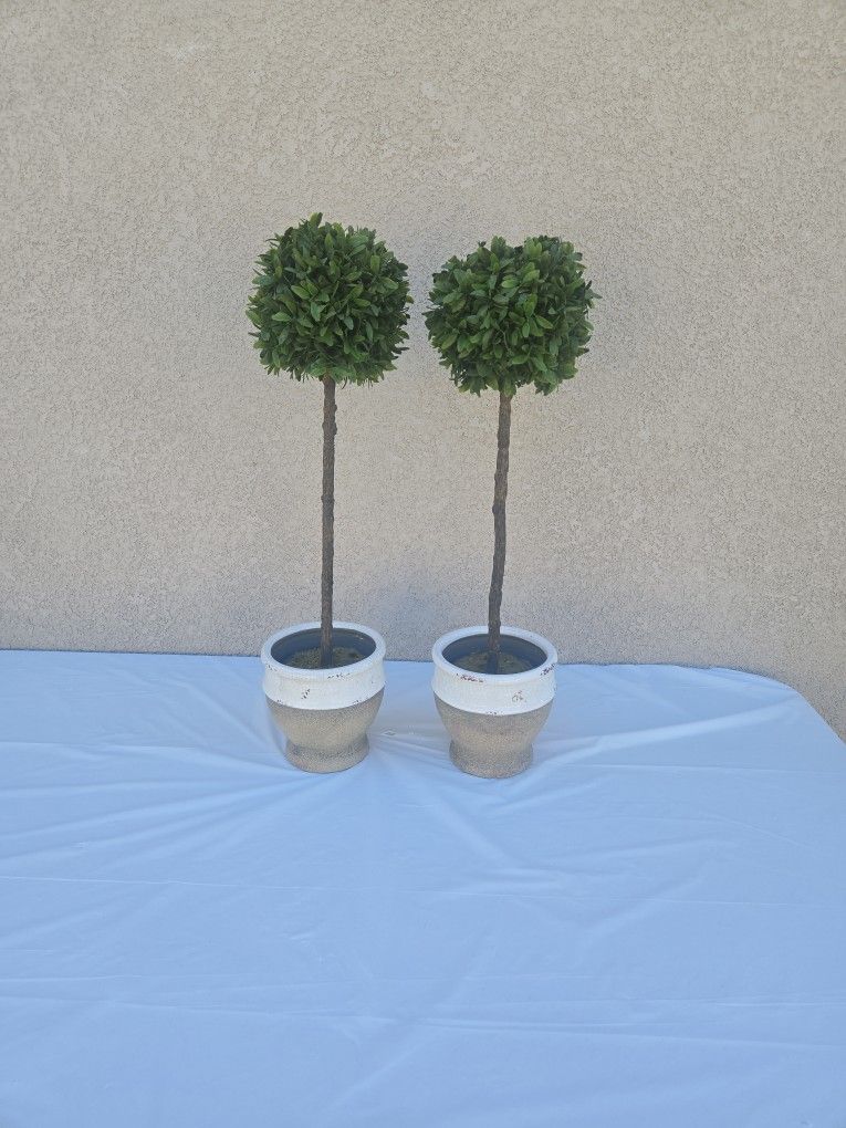 Set Of 2 Topiaries
