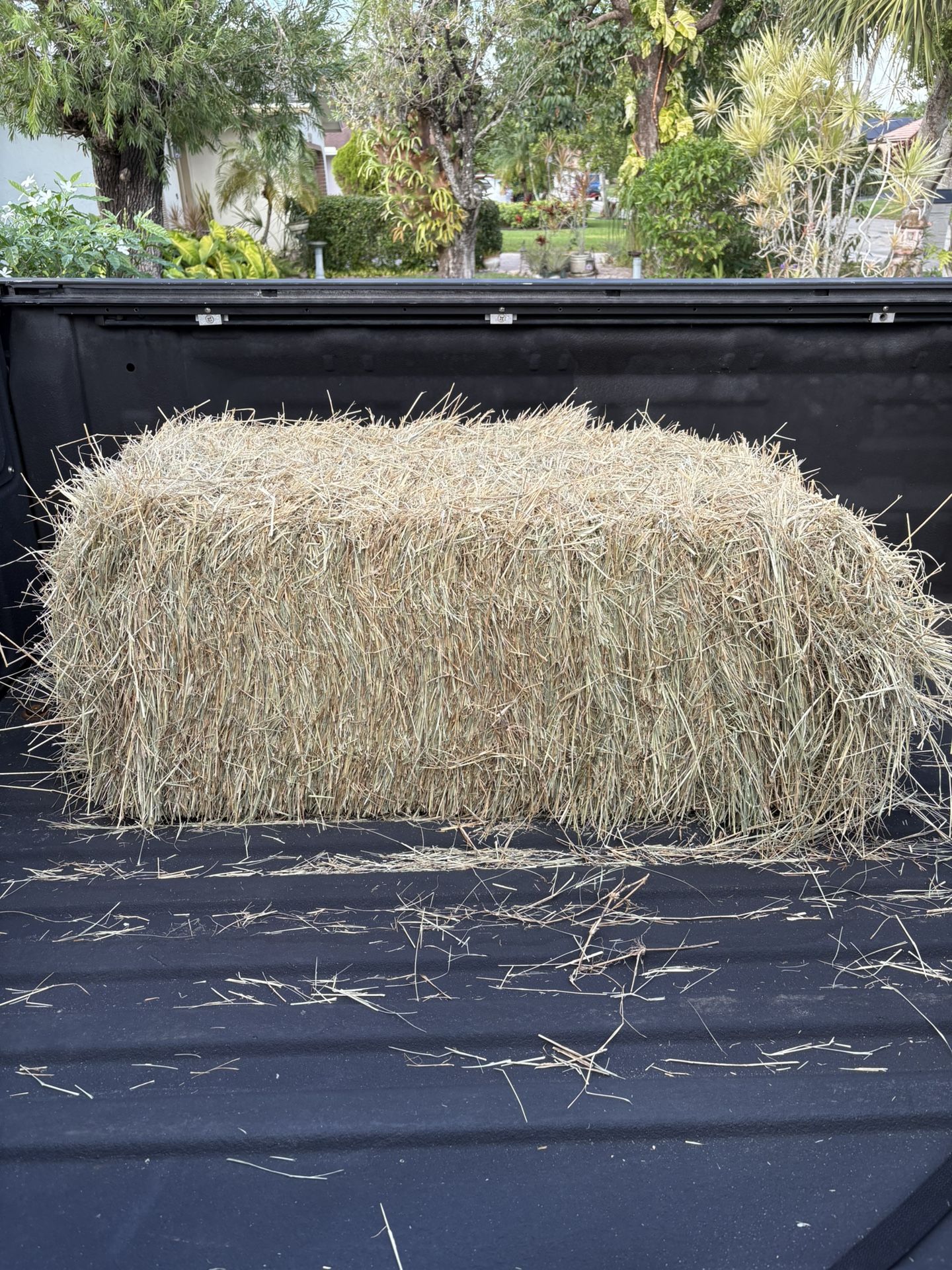 Straw  Bale