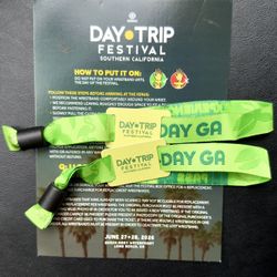 ($450 Both) DAY🪩TRIP Festival - June 28, 2026 (Sun)