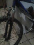 28 Schwinn