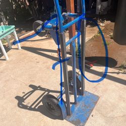 Diabitos En Venta 