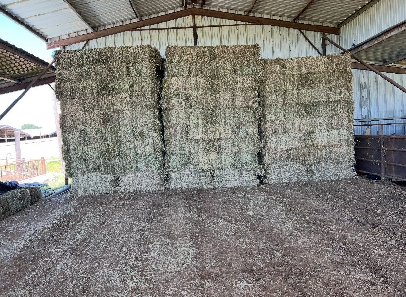 Hay