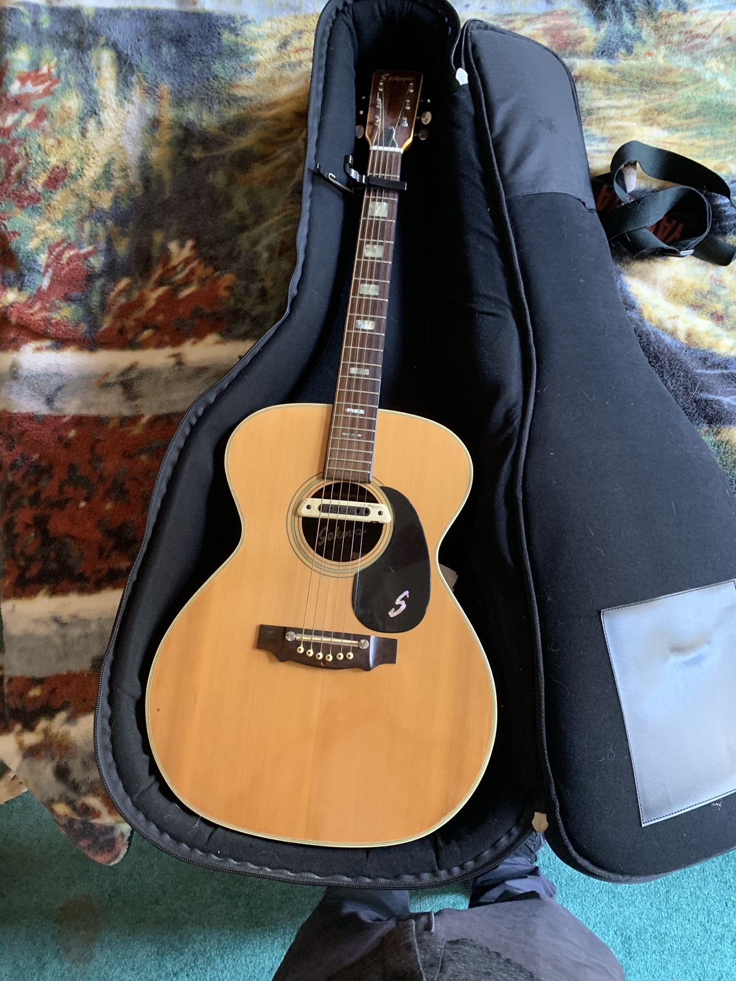 Acoustic Guitar: Sekova F2000