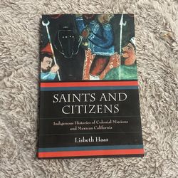 Saints And Citizens Book By Losbeth Haas  