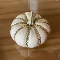 Beautiful bedazzled pumpkin