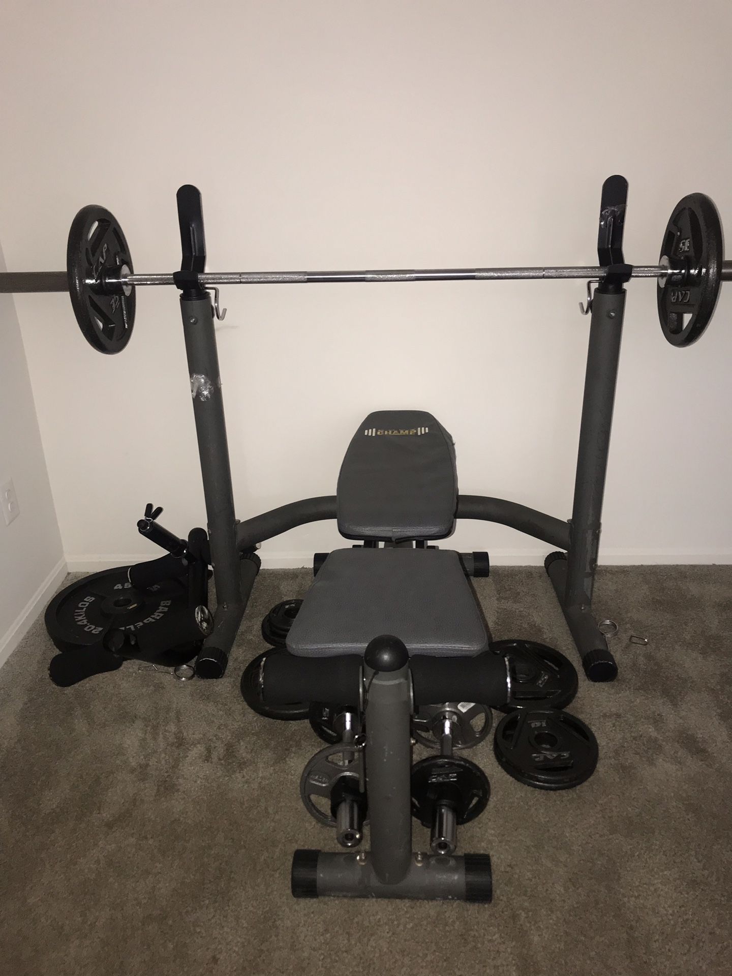 Olympic weight set and bench 315lbs