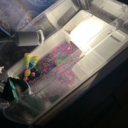 Turtle Tank