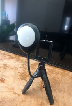 Stand