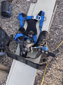 Harness