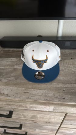 Bulls hat $20