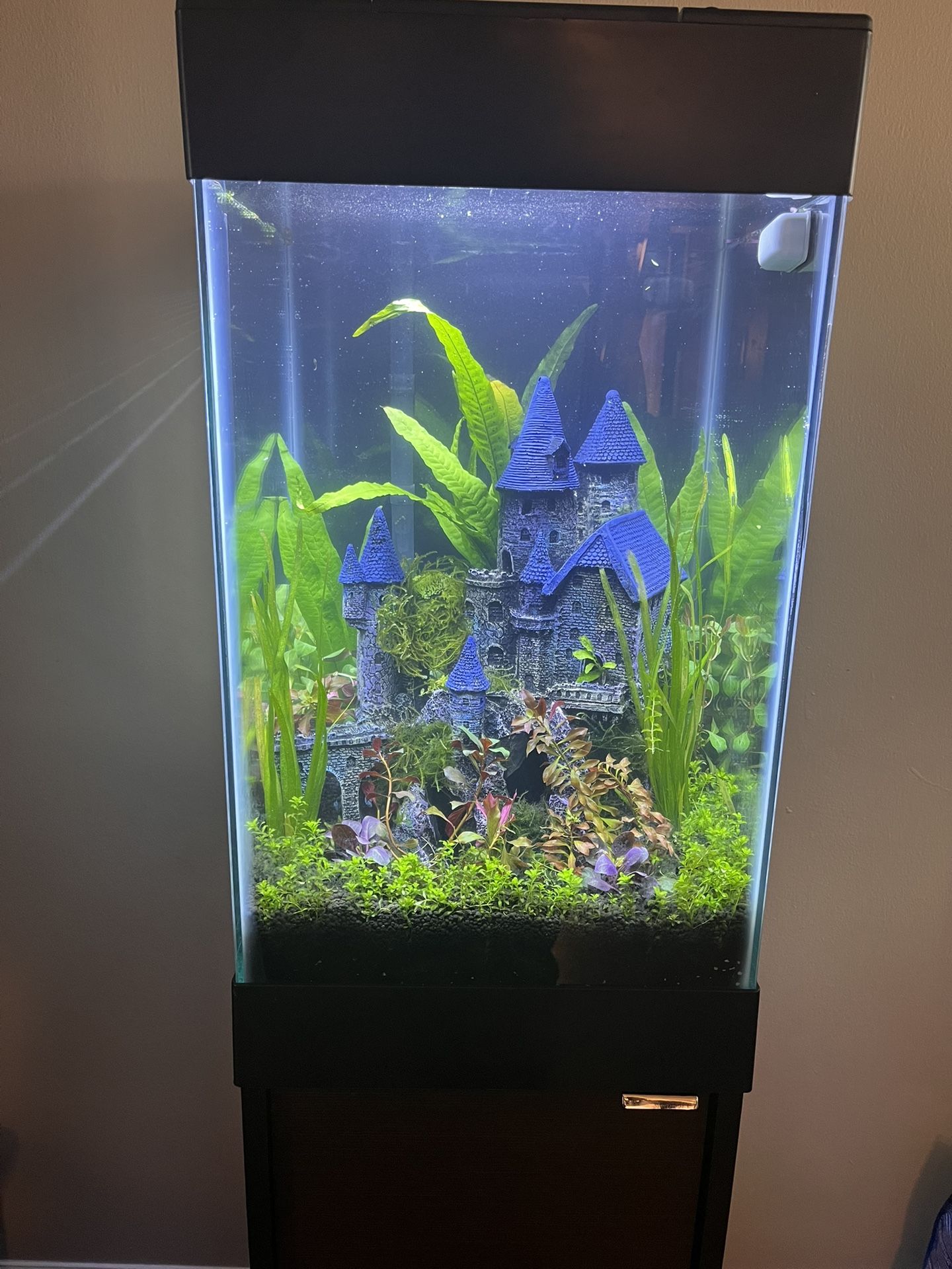 15 gal column fish tank and stand plus more