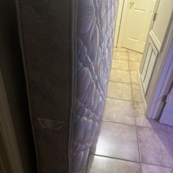 Queen Mattress With Box Spring 