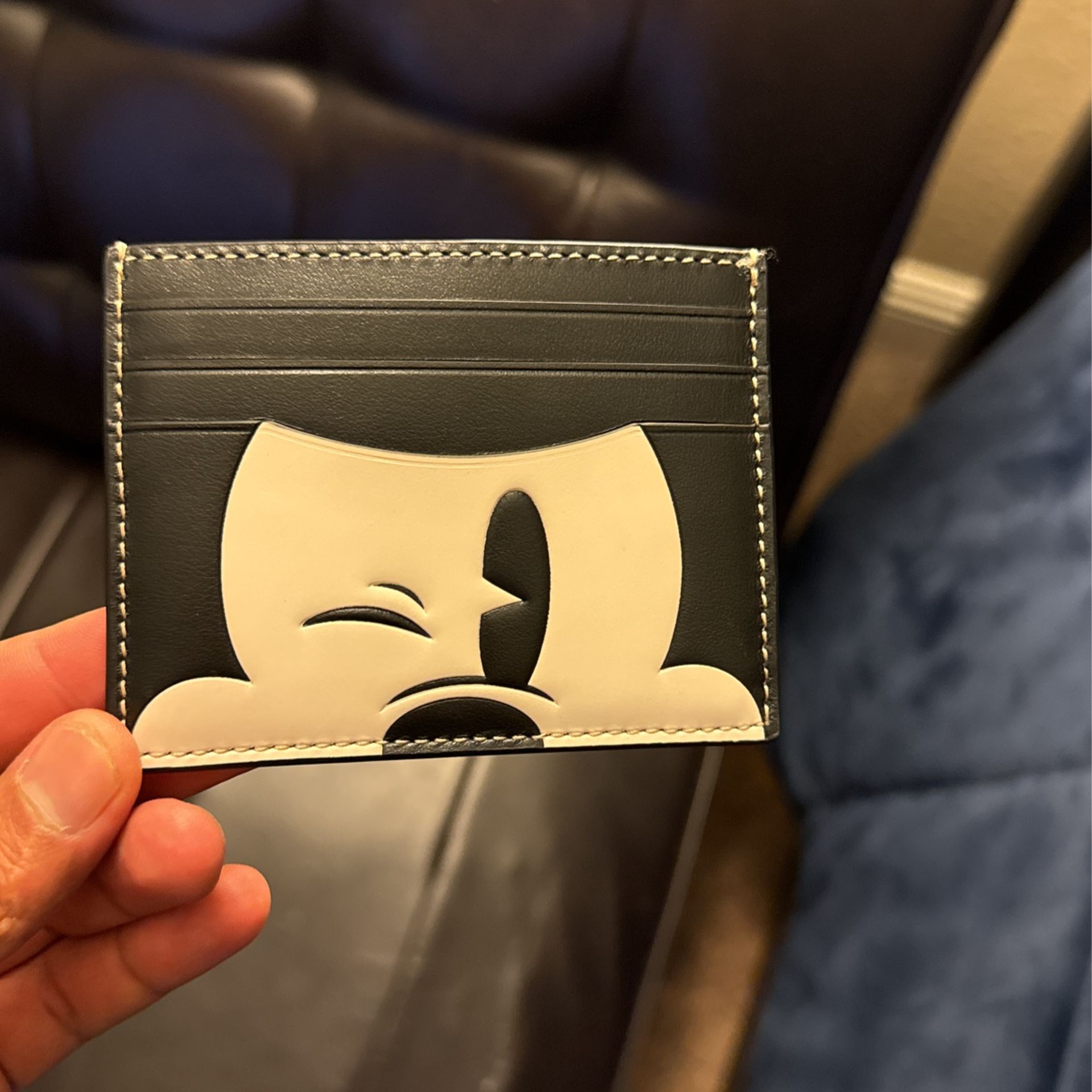 Disney Coach Collaboration Wallet