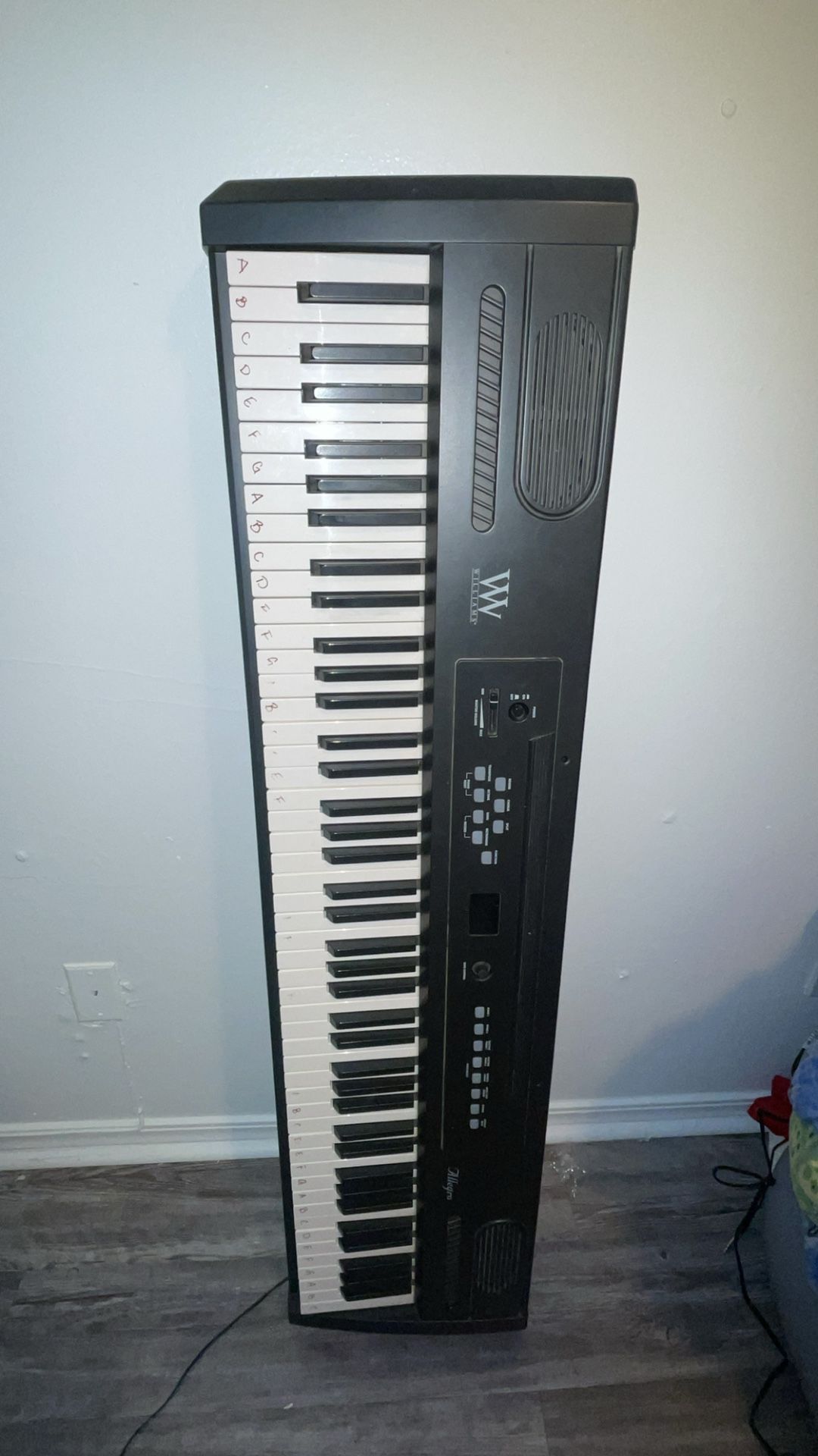 Allegro 88-Key Keyboard Weighted