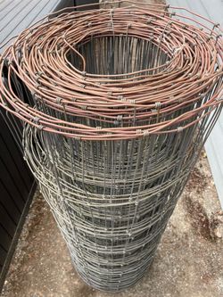 Chicken Wire Fencing