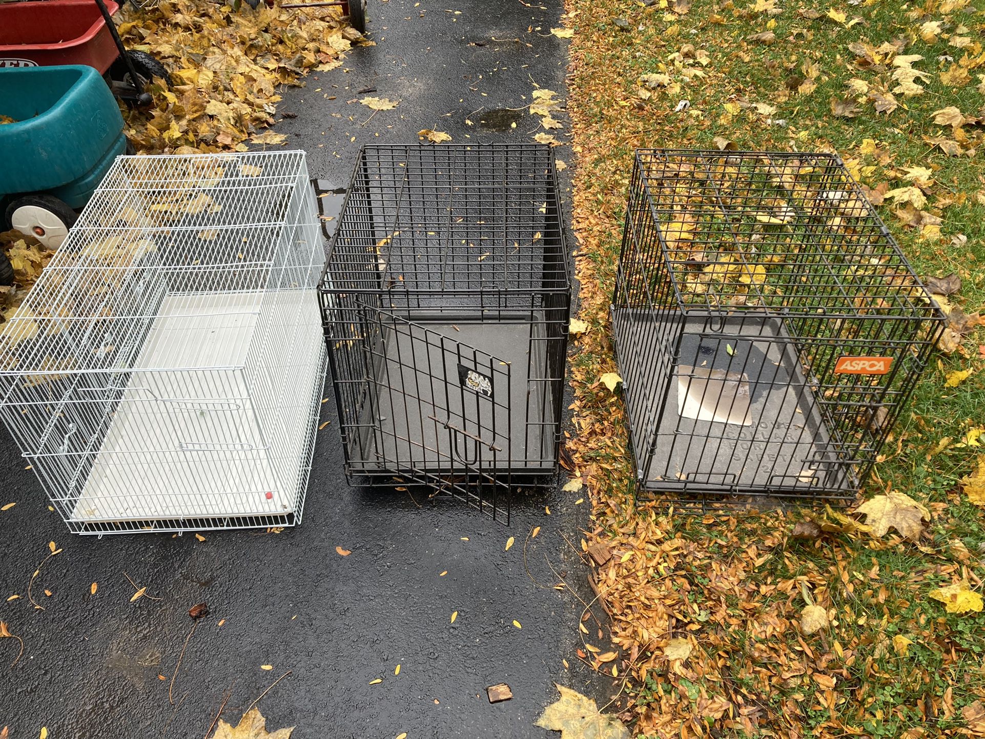 Dog And Bird Cages