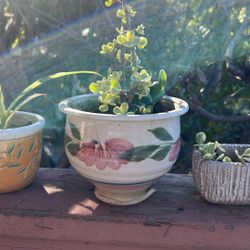 $10 Plant Sales 