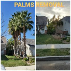 Stump Grinding Messge, Tree Messge