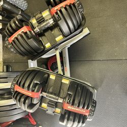 owflex SelectTech 552 Adjustable Dumbbells (Pair) With Stand