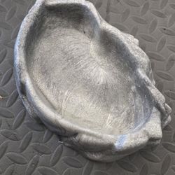 Reptile Dish