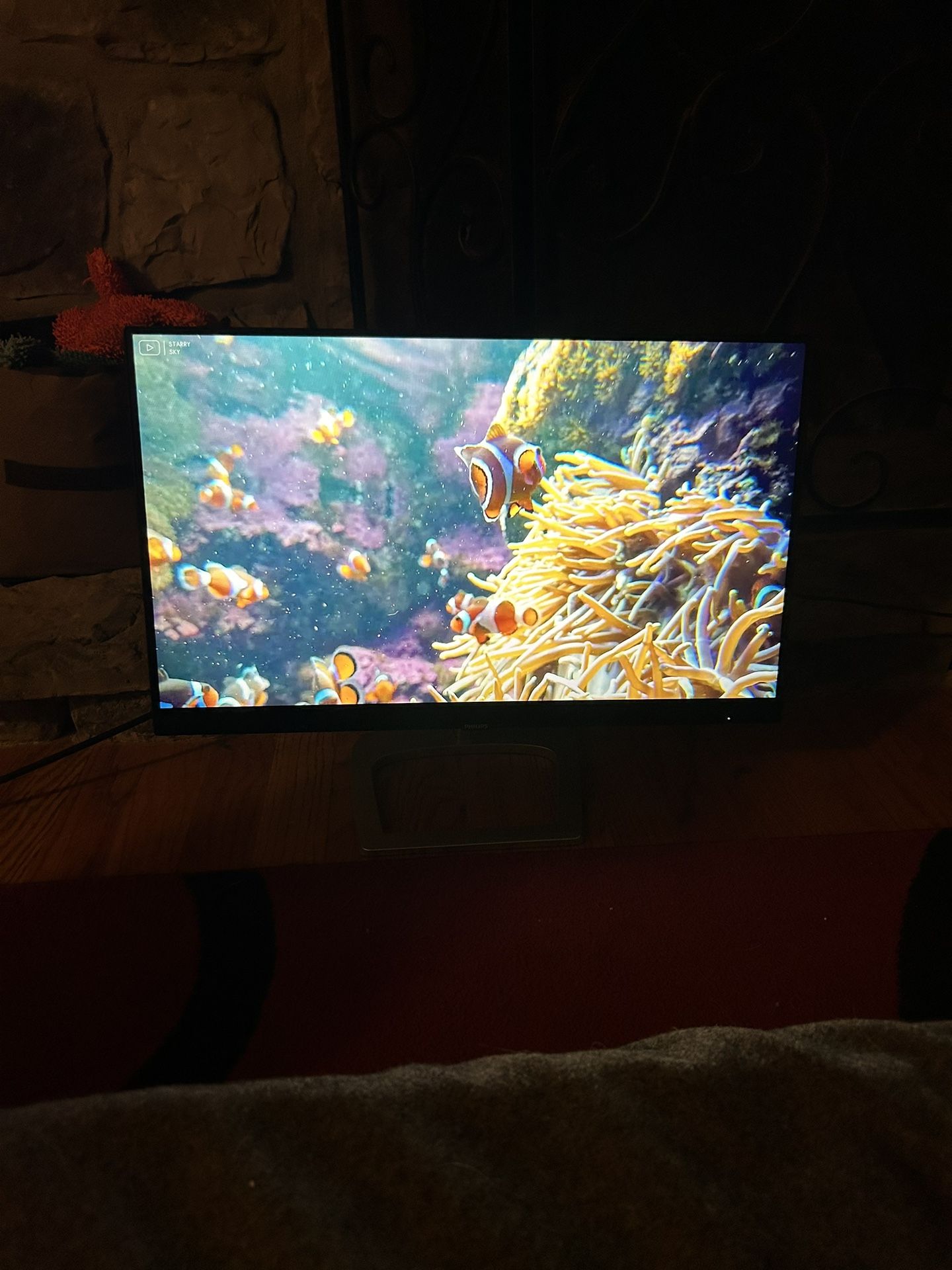 22” Philips Computer Monitor