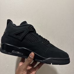 Black Cat 4s