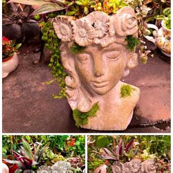 Beautiful planters with life succulents you can also have planters with Outdoors and indoors plants  cutting are available Outdoors and indoors beauti