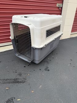 Large Hard-Sided Dog Travel Crate