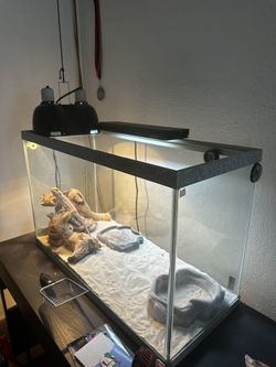35 Gallon Tank