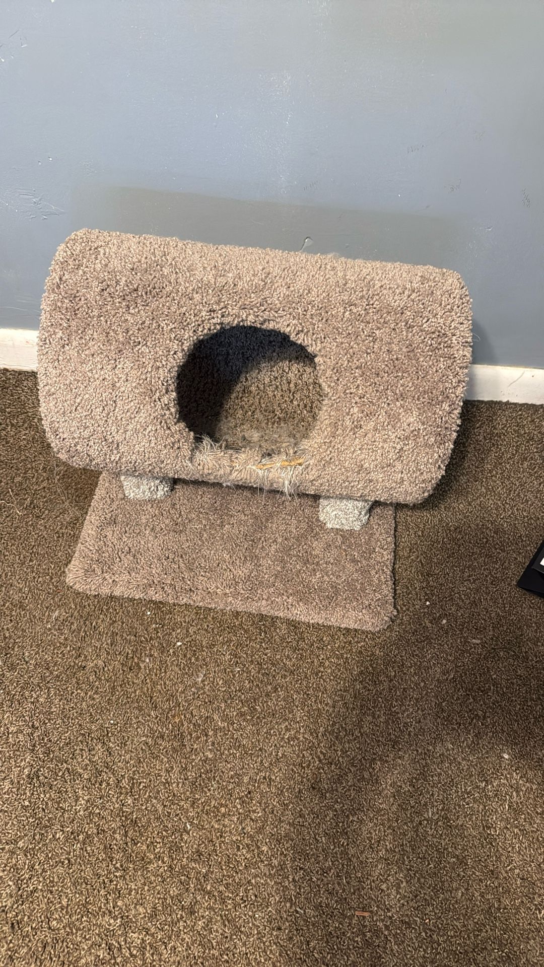 Cat Stand