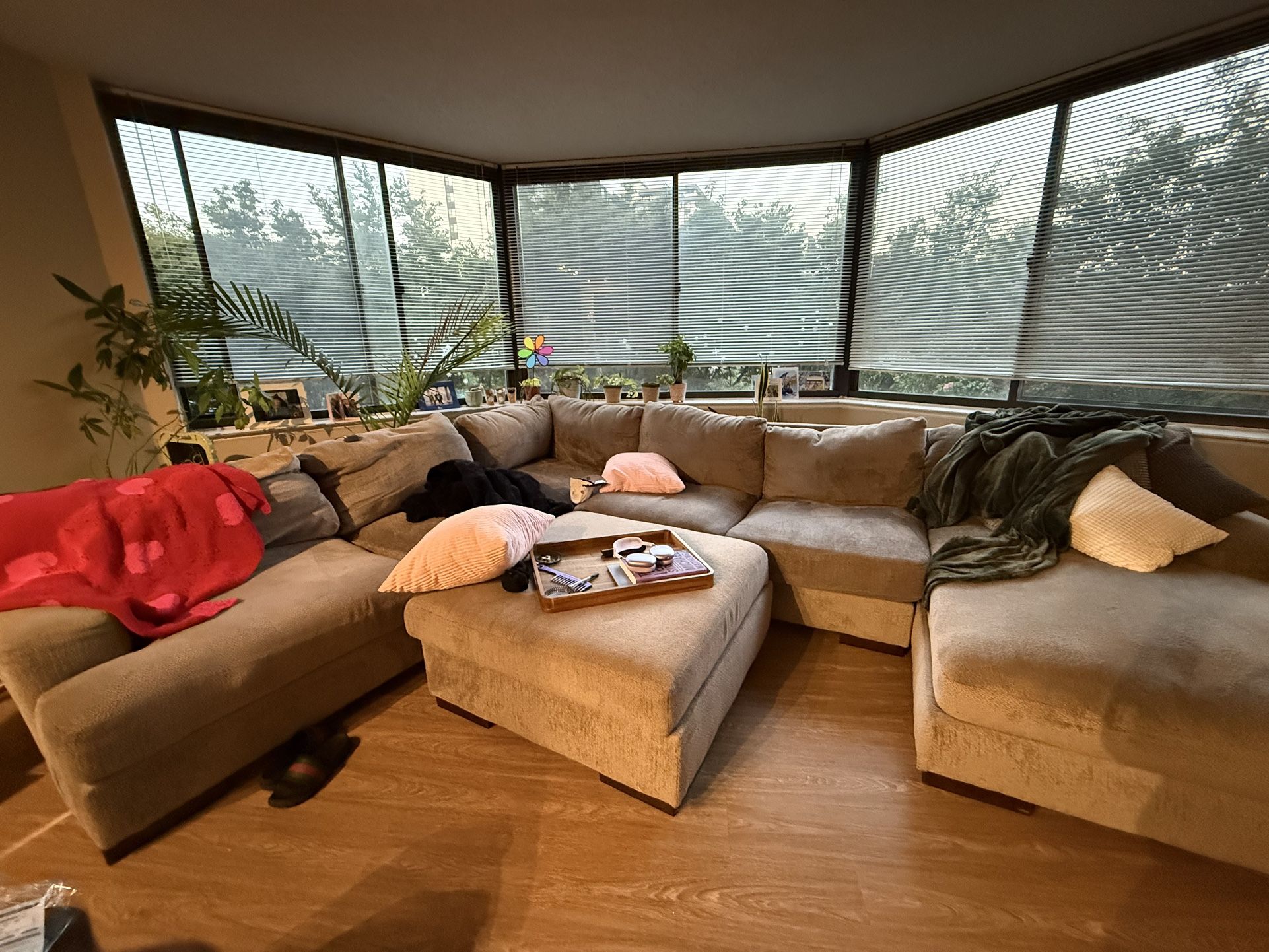 3 Year Old Sectional 