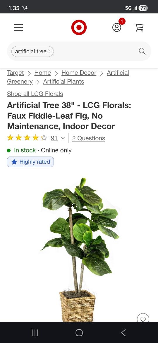 Artificial fig plant 