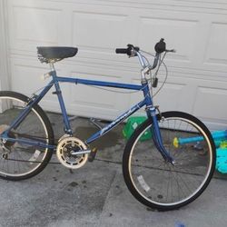 Savannah Huffy Bike 1986