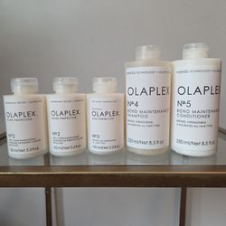 Olaplex 2 And 4