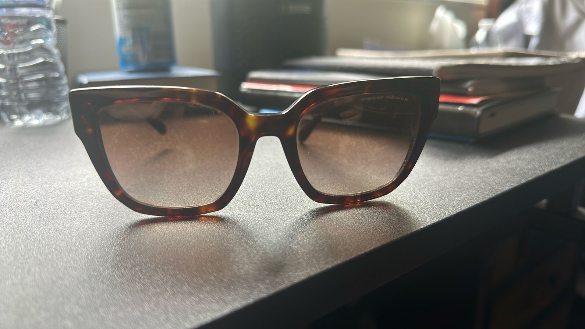 Coach Oversized Cat Eye Sunglasses
